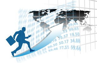 中国篮球职业联赛赛事运营风险评估与管理对策，篮球赛事安全风险