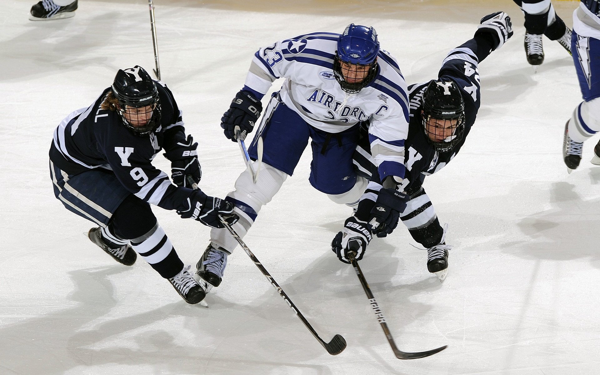 中美蝶泳划水周期趋于高效稳定，蝶泳划频